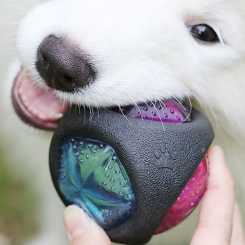 Durable Bouncing Dog Toy Ball