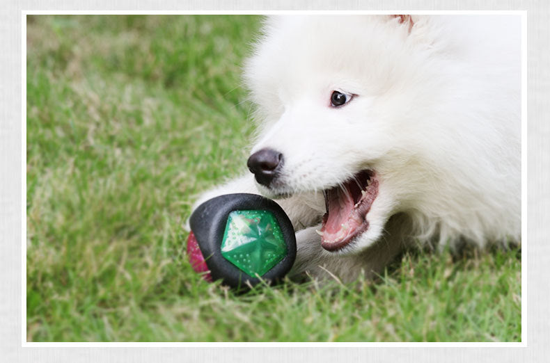 Durable Bouncing Dog Toy Ball