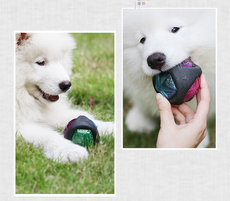 Durable Bouncing Dog Toy Ball