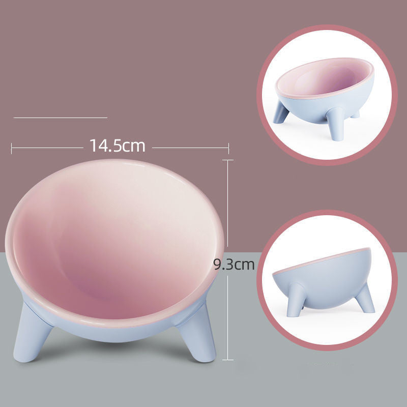 Tilted Pet Feeding Bowl with Stand