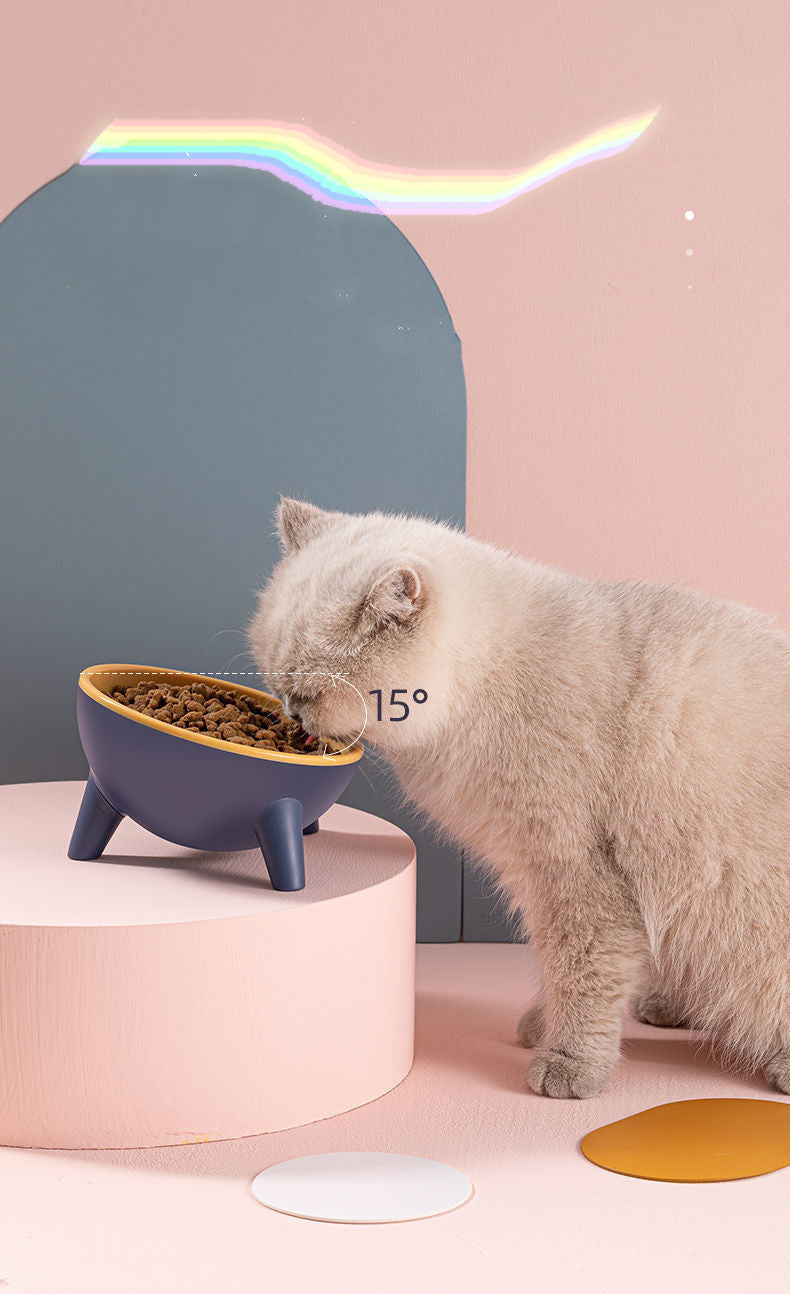 Tilted Pet Feeding Bowl with Stand