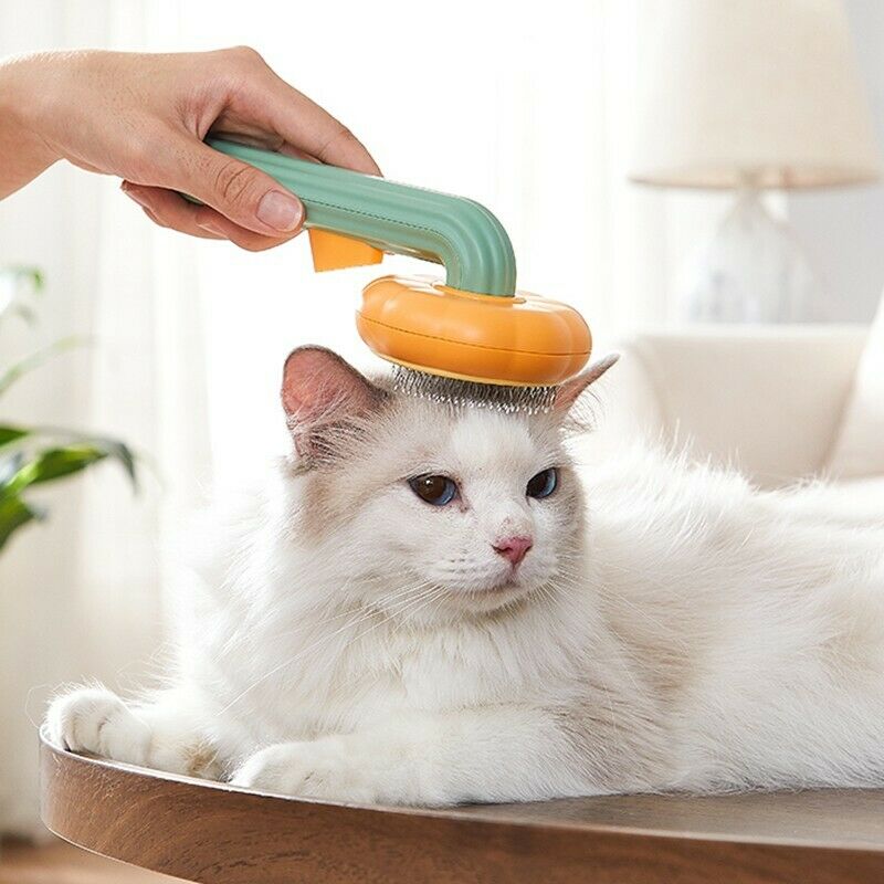 Self-Cleaning Pumpkin Grooming Brush
