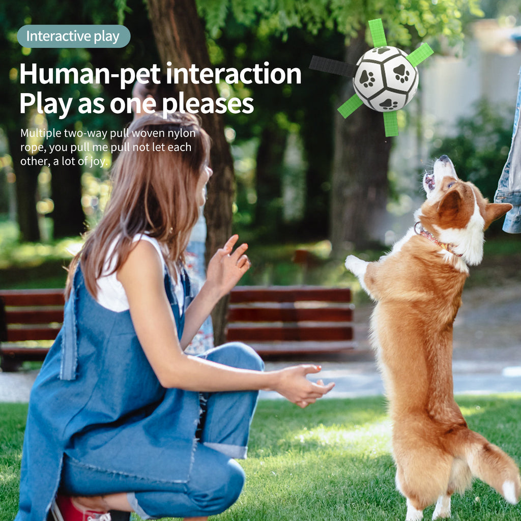 Durable Interactive Soccer Ball Toy for Large Dogs