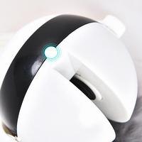 Interactive Electric Motion Cat Toy with Fur Ball