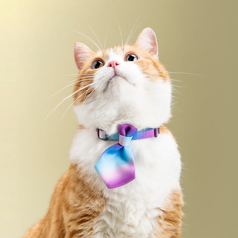 Adjustable Pet Neckties for Stylish Dogs