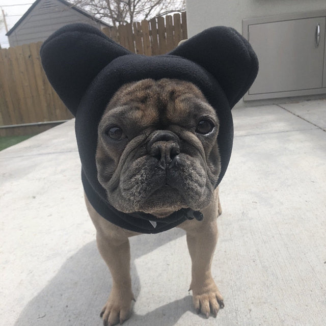Cozy Fleece Dog Hat