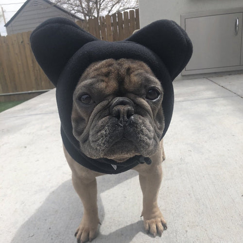 Cozy Fleece Dog Hat