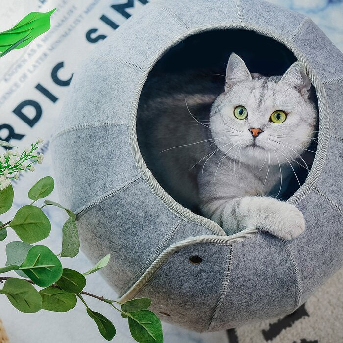 Foldable Cat Tunnel & Cave Bed for Play and Relaxation