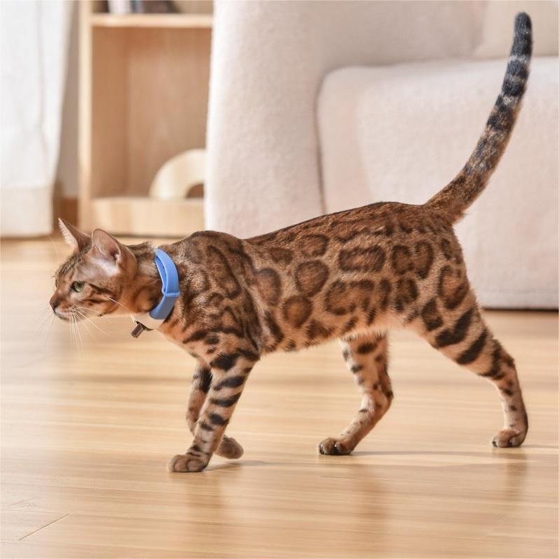 Interactive Laser Collar Toy for Cats