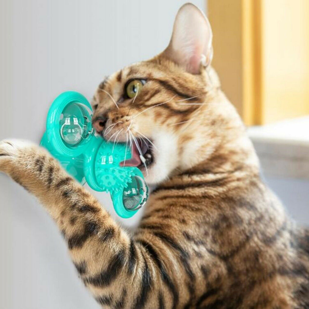 Interactive Windmill Cat Toy with Suction Cup Base