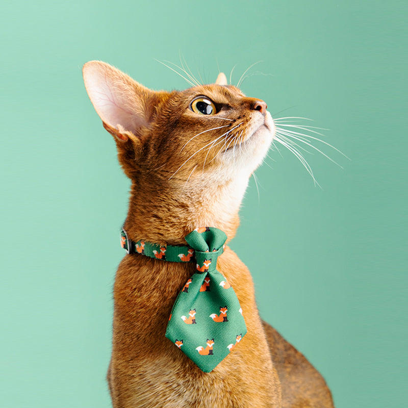 Adjustable Pet Neckties for Stylish Dogs