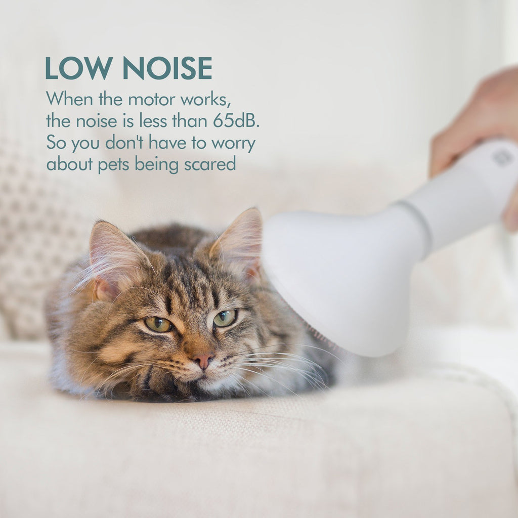 Pet Hair Dryer & Slicker Brush for Effortless Grooming
